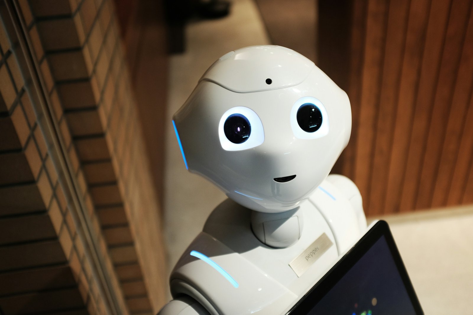 The Future of Artificial Intelligence: What to Expect in 2024
